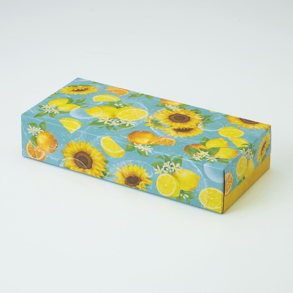 ビタミンサマー／ボックスティッシュ