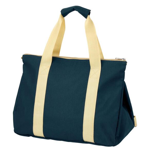 背負えるレジカゴラゲッジ