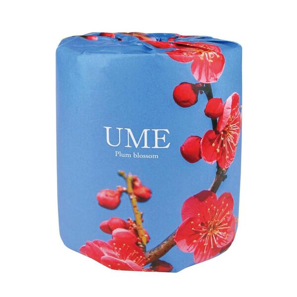 梅の花プリントトイレットロールダブル（30m）