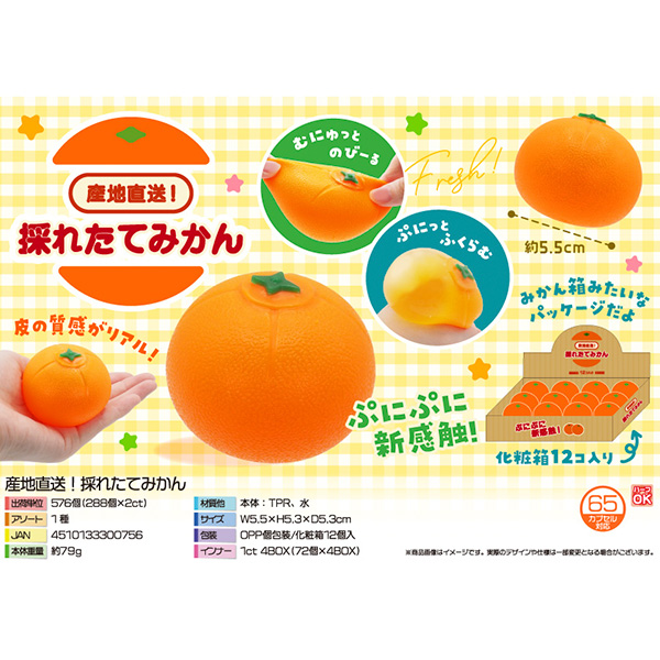 産地直送！採れたてみかん