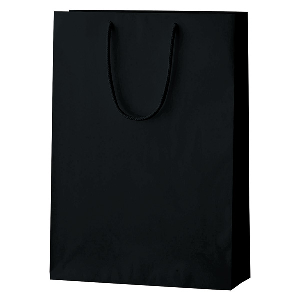 シャイニーバッグ L(ブラック)